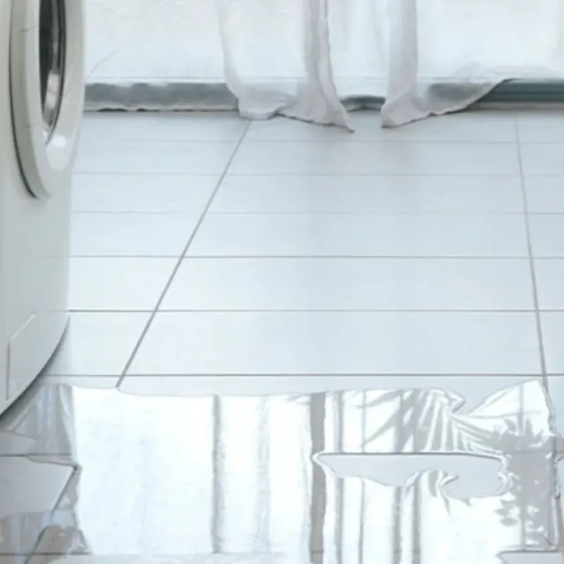 Appliance Leak Cleanup in Lehigh Acres, FL